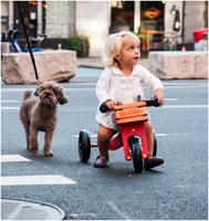 Kinderfeets houten fietskrat-3